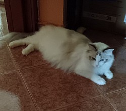 Dolce attesa 🩷