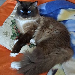 Joseph